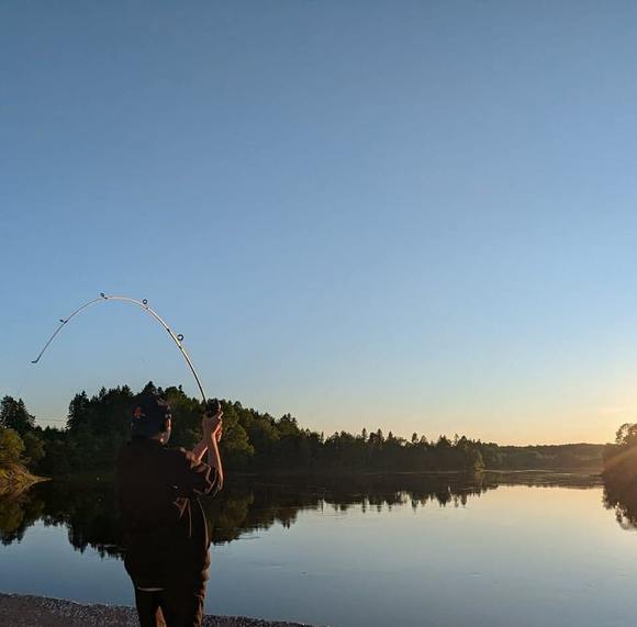 Meet your Posher, Yoan - Picture 1 of 1